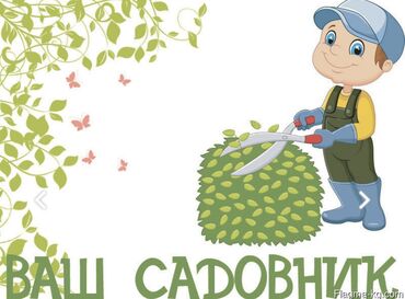 detskij mir igrushki dlja malchikov: Я приходящий, Агроном .Садовник уход за садом ! И растениями ‘Обрезка