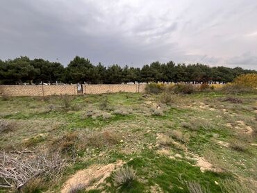 зарубежная недвижимость купить: 10 sot, Tikinti, Makler, Kupça (Çıxarış)