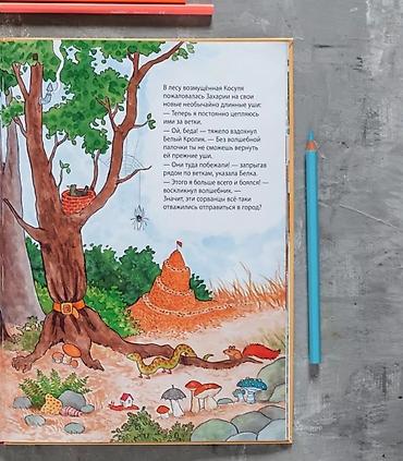 Детские книги: Комплект из 3 детских книг «Маг Захария» книги Виммилбухи с интересным — 7
