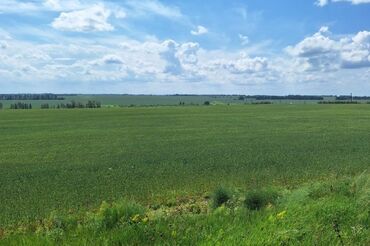 вулканизация на продажу: 600 соток, Для сельского хозяйства, Красная книга