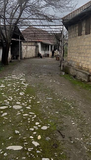 car parking maşın satışı: 20 sot, Tikinti, Mülkiyyətçi, Kupça (Çıxarış) — 1