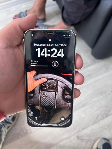 оборудование для холодильника: IPhone 12 Pro, Серебристый