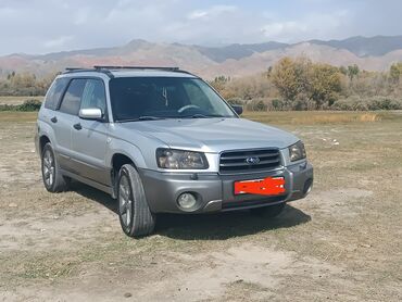 дополнительное освещение на авто: Subaru Forester: 2005 г., 0.2 - engine capacity л, Автомат, Газ, Кроссовер