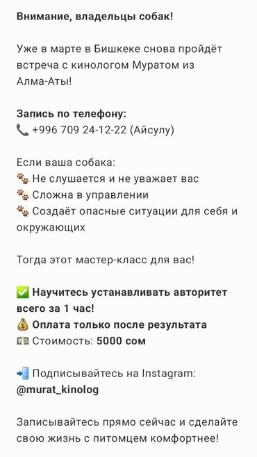 Услуги ветеринара: Внимание, владельцы собак! Уже в марте в Бишкеке снова пройдёт