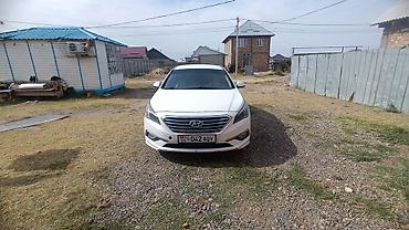защита днища соната: Hyundai Sonata: 2014 г., 2 л, Автомат, Газ, Седан — 2