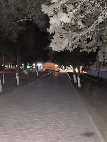 İcarəyə ofislər: Kiçik ofis/iş otağı - Tək otaqlı məkan, düzbucaqlı plan - Ağ rəngli — 14