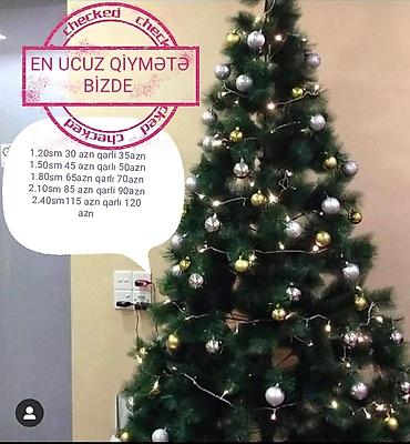 ev agaclari: Sifarisle eve getiririk Catirilma pulsuz whatsapp aktivdir 1.20-30 — 1