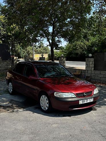 Opel Vectra: 0.8 l | 1998 il 260 km Sedan lalafo.az -da Opel Vectra: 0.8 l | 1998 il 260 km Sedan