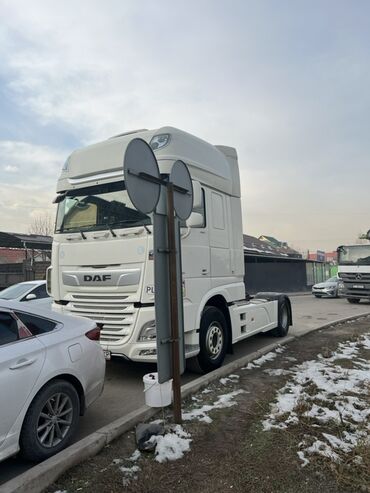 Тягачи: Тягач, DAF, 2020 г., Без прицепа — 5