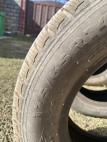 р13 зима: 175/65 R14 БИР СЕЗОН ЖУРУЛГОН ПРОТЕКТОРЛОРУ МАСЛА Зимние шины без — 6