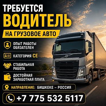 компании: Требуется Водитель грузового транспорта, Категория прав (CE), На фуру, 3-5 лет опыта — 1
