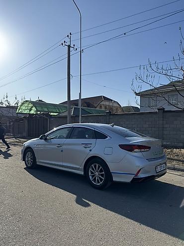Hyundai: Hyundai Sonata: 2019 г., 2 л, Автомат, Бензин, Седан — 3