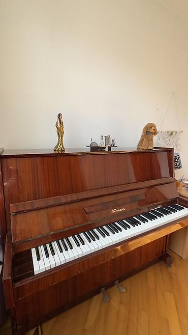 piano kuban: Kuban pianino Ev, musiqi məktəbi və məşq otaqları üçün klassik — 3