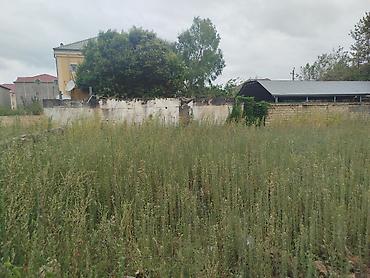 zabratda torpaq satışı: 2 sot, Tikinti, Makler, Kupça (Çıxarış) — 5