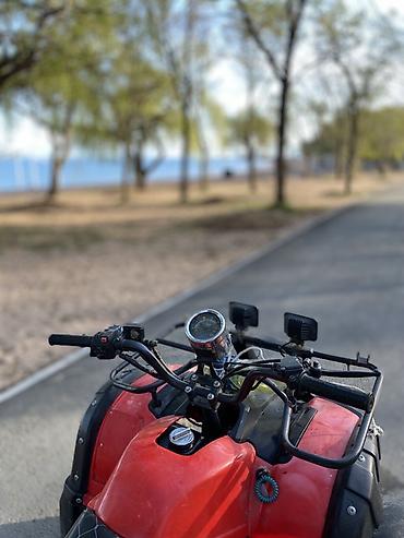 Квадроциклы: Квадроцикл Подходит для: - Прогулок по бездорожью, рыбалки, охоты - — 4