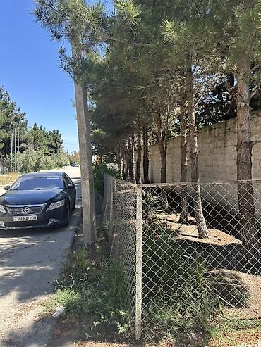 Torpaq sahələrinin satışı: Kənd təsərrüfatı, Kupça (Çıxarış), Texniki pasport — 24