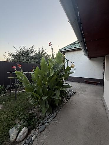 Продажа коттеджей и домов: 🏡 Продаётся уютный дом в Новопавловке — ул. Колхозная, 85, 350 метров — 23