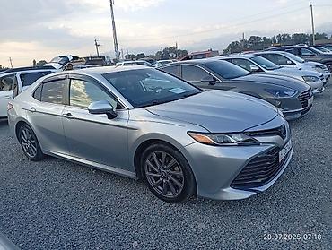 Toyota: Toyota Camry: 2019 г. — 3