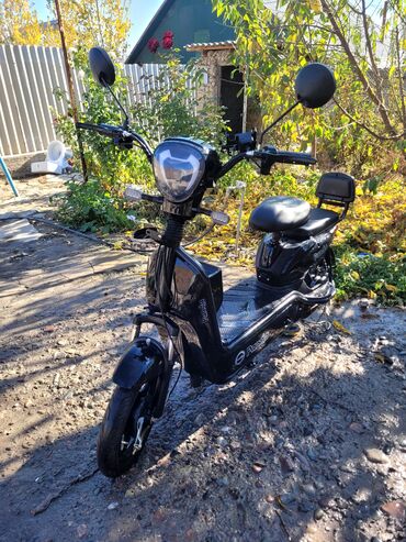 мопед советский: 50 куб. см, Электро, Колдонулган lalafo.kg да мопед советский: 50 куб. см, Электро, Колдонулган