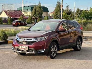 хонда crv 2015: Honda CR-V: 2019 г., 1.5 л, Вариатор, Бензин, Кроссовер