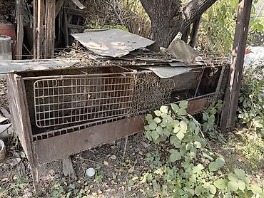 клетки для кролов: Клетки для кроликов
Большие
Двойная и Тройная на фото, каждая по 2000с — 3