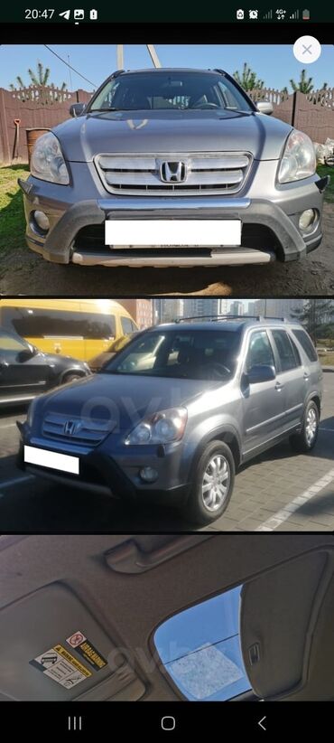 82 1 беларус: Honda CR-V: 2004 г., 2.4 л, Автомат, Бензин, Кроссовер