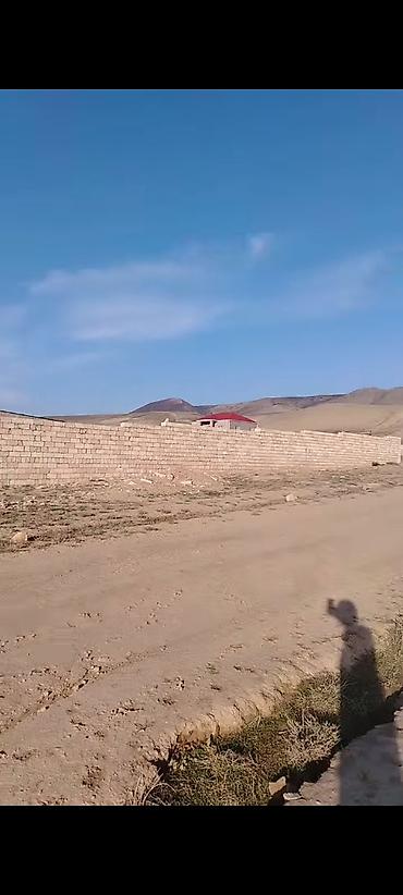 Torpaq: 4 sot, Tikinti, Mülkiyyətçi, Kupça (Çıxarış) — 2