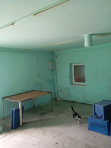 Другая коммерческая недвижимость: Срочно продаётся готовый бизнес. Пекарня в центре г.Кара-Балта. Со — 5