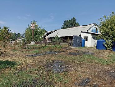 2667: Бизнес-объект в Сокулукском районе — готовый комплекс! Продаётся — 4