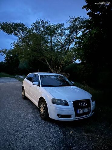Audi A3: 1.6 l. | 2006 έ. Χάτσμπακ