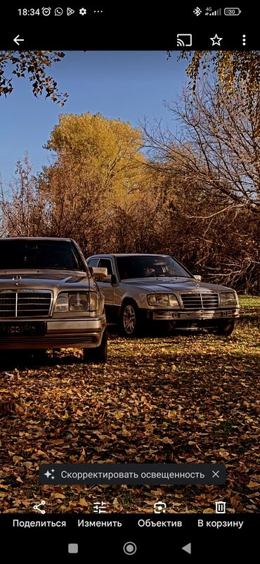 Mercedes-Benz: Mercedes-Benz W124: 1993 г., 3.2 л, Автомат, Бензин, Седан