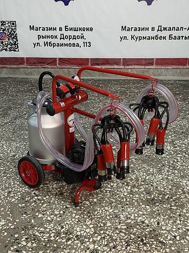 дойки 228: Доильный аппарат TAMAM от компании «Техномаш» Быстро. Удобно — 2