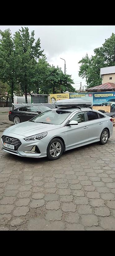 Автобоксы: Автобокс Broomer, 175 см, 480 л, Новый, Платная доставка — 2