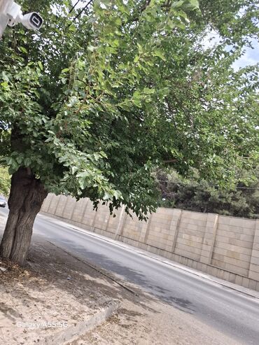 Uzunmüddətli kirayə evlər: 1111 kv. m, 2 otaqlı -da lalafo.az — 13 Uzunmüddətli kirayə evlər: 1111 kv. m, 2 otaqlı — 13