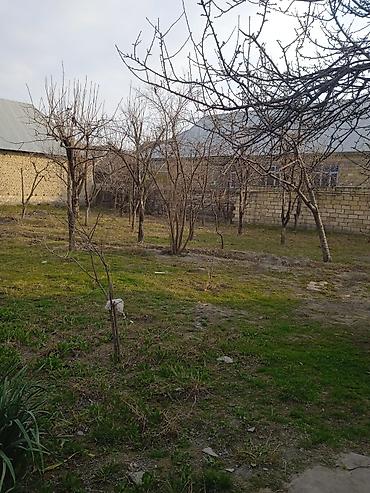 mingecevirde torpaq satisi: 10 sot, Kənd təsərrüfatı, Mülkiyyətçi, Kupça (Çıxarış) — 5