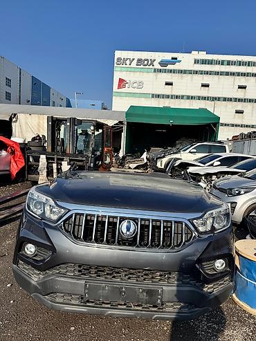 лыжи купить: Набор кузовных элементов и навесного оборудования для SsangYong Rexton — 1