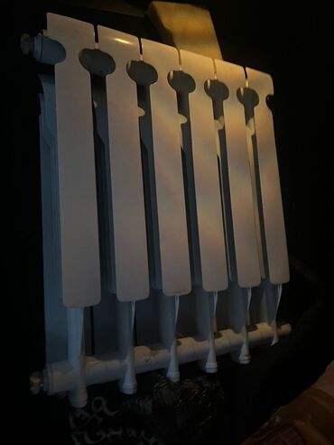 gizdirici radiator: Seksiyalı Radiator