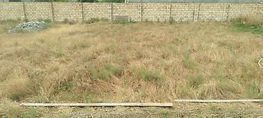 Torpaq sahələrinin satışı: Kənd təsərrüfatı — 10