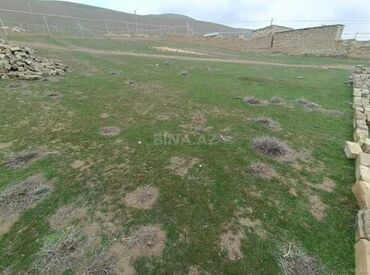 yeni gencede torpaq satilir: 3 sot, Tikinti, Mülkiyyətçi, Bələdiyyə