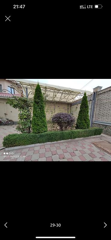 Дворники, садовники: 🌱Я Садовник Стрижка Живой изгородь,самшит,Туи,хвойные растения, Я — 28