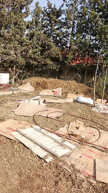 usta isləri: Bağ sahələrinin təmizlənməsi və abadlaşdırılması xidməti Təklif — 1