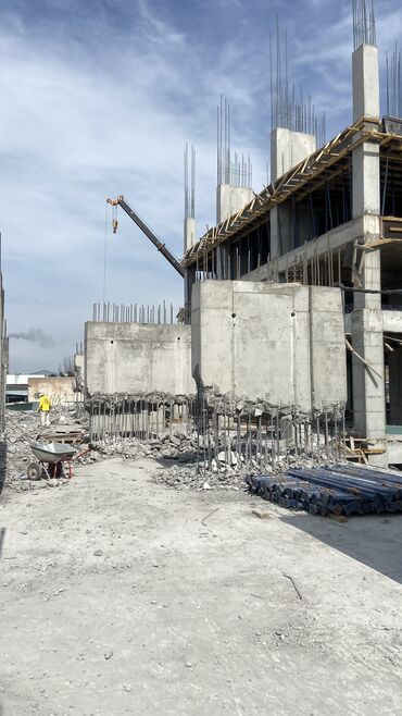 кирпичный дом: Слом бетона Профессиональный подход к делу Бригада демонтажников