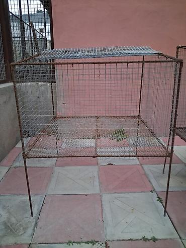 sicanlar: Ev heyvanları - dovşan, toyuq, cücə üçün qəfəslər. Ölçülər — 1