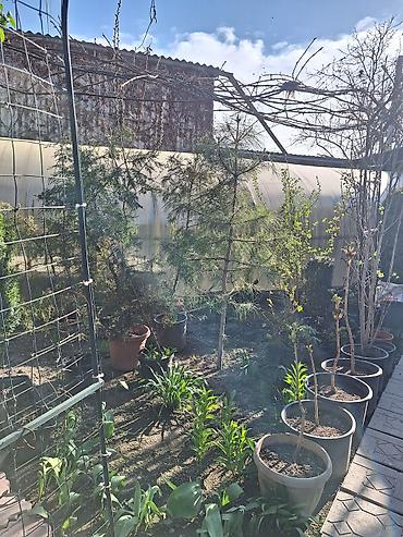Продажа коттеджей и домов: 3 комнаты, 80 м², 4 соток, Орто-Сай, Собственник — 15