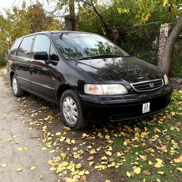 решотка на одиссей: Honda Odyssey: 1999 г., 2.3 л, Автомат, Бензин, Минивэн