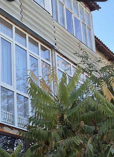 армения абхазия россия: 3 комнаты, 70 м², Индивидуалка, 1 этаж, Косметический ремонт — 1