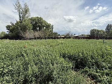 птицы ферма: Farm КРС, 12 соток, Не действующий, Частично с оборудованием, Без коммуникаций — 3