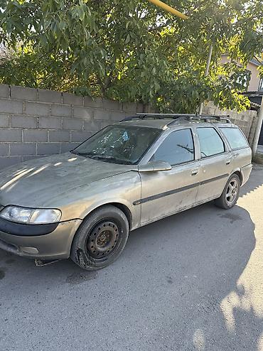 лампы для цветов: Opel Vectra: 1997 г., 2 л, Автомат, Бензин, Универсал — 2