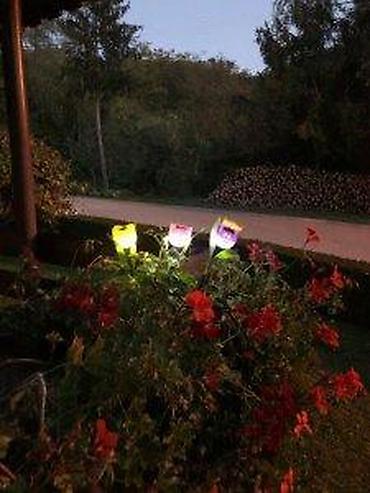 Baštenska rasveta: LED solarne baštenske lampe u obliku tulipana – Flower Power “LED — 8