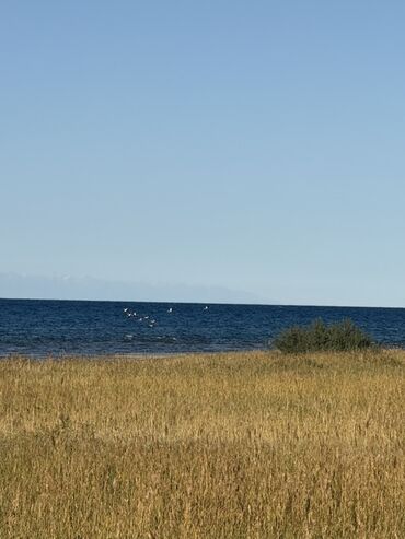участок 16 соток: 10 соток, Айыл чарба үчүн, Кызыл китеп, Сатып алуу-сатуу келишими